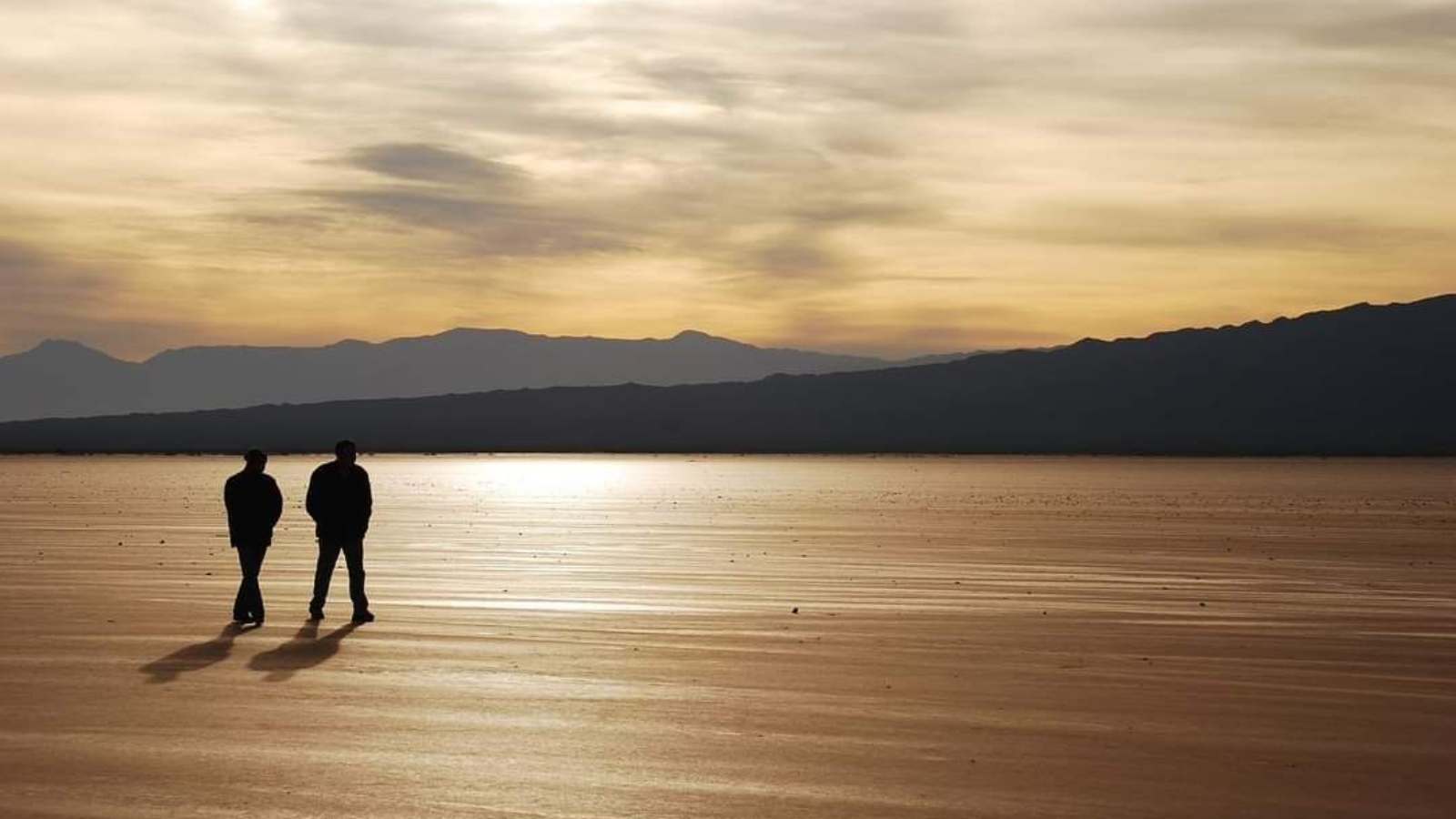 FB_IMG_1691662199201