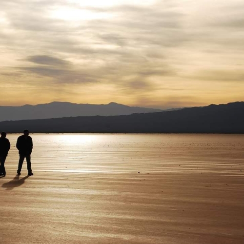 FB_IMG_1691662199201