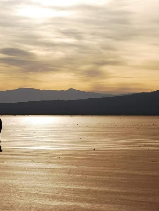 FB_IMG_1691662199201